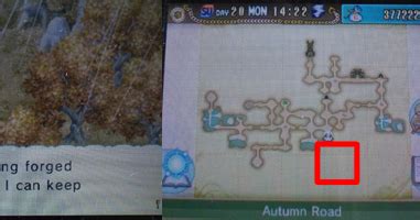rune factory 4 secret areas